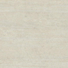Vtwonen Tegels Traverlime Vloertegel - 60x60cm - 9.5mm - gerectificeerd - Bianco SW1557783