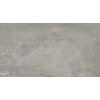 Cliper Pacific Vloer- en wandtegel 32x59cm 9.5mm gerectificeerd porcellanato Cinza SW24156