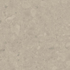 ÉCHANTILLON Ceralto Ravina Slate Carreau de sol et de mur 60x60cm Rectifié Mat Earth SW911950
