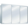 Haceka Cabinets Toiletkast 59x38cm wit met spiegelglas HA431050 Haceka Cabinets Toiletkast 59x38cm wit met spiegelglas HA431050