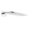 Hansgrohe Raindance hoofddouche E420 2 jet inclusief douche arm 38,5cm chroom 0452042 Hansgrohe Raindance hoofddouche E420 2 jet inclusief douche arm 38,5cm chroom 0452042