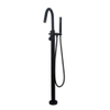 Wiesbaden Caral Mitigeur bain sur pied mat noir SW203940