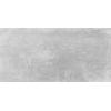 Cerpa Ceramica wand- en vloertegel - 29x58.5cm - 9mm - Rechthoek - gerectificeerd - Betonlook - Grijs mat SW204182