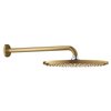 Grohe Rainshower hoofddoucheset: hoofddouche Ø31cm met douchearm wandmontage 38cm brushed cool sunrise SW98873 Grohe Rainshower hoofddoucheset: hoofddouche Ø31cm met douchearm wandmontage 38cm brushed cool sunrise SW98873