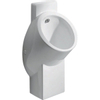 Geberit 300 urinoir centaurus hybride 37,5x32x5 inclusief KeraTect wit SW417766