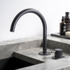Hotbath Cobber Mengkraan - 2-gats - mat/glans verouderd ijzer (zwart) SW677575