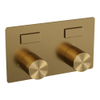 BRAUER Stripe 2-weg Inbouwthermostaat - drukknoppen - inclusief inbouwdeel - geborsteld goud PVD SW1434822