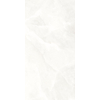 Terravito Davella Carrelage sol et mur - 30x60cm - rectifié - brillant Blanc SW955661