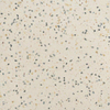 Ceralto Granulo Terrazzo Vloertegel - 59.7x59.7cm - 10.5mm - Green SW1471182