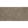 STN Ceramica Glamstone wand- en vloertegel - 59.5x120cm - 10mm - gerectificeerd - bruin SW890830