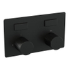 BRAUER Black Carving Inbouwthermostaat - 2 functies - drukknoppen - inclusief inbouwdeel - mat zwart SW925380