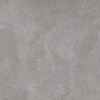 Ceralto Inlay Uno Vloertegel - 59.8x59.8cm - 9.0mm - gerectificeerd - Grey SW1243217