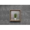 Looox Wooden collection wand box 30x30cm met achterplaat geborsteld rvs eiken geborsteld rvs SW73168 Looox Wooden collection wand box 30x30cm met achterplaat geborsteld rvs eiken geborsteld rvs SW73168