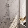 BRAUER Stripe Opbouw Douche Thermostaatkraan - SET 01 - glijstang - staaf handdouche - doucheslang - RVS-kleurig geborsteld PVD SW1435045