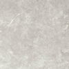 Beste koop Harmony carreau de sol et de mur 100x100cm 8.5mm résistant au gel rectifié blanc mat SW543556
