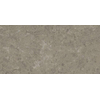 Ceralto Calisto Luxe Carreau de sol - 59.5x119.5cm - 9.0mm - rectifié - Grigio élég. SW1130042