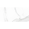 Terravito Alpuro carreau mural et de sol - 30x60cm - 9mm - Rectangle - rectifié - aspect marbre - blanc/noir brillant SW359737
