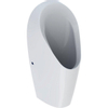 Geberit Tamina urinoir sans eau blanc SW203608