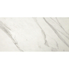 Fap Ceramiche Roma Statuario mat Carrelage sol blanc 30x60cm Blanc/Noir SW359732
