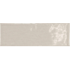 SAMPLE Terravito Elvella Voor wandtegel - 20x6.5cm - 8mm - Grey Pearl SW1221490