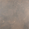 Ceralto Briano Accent Vloertegel - 100x100cm - 6.0mm - gerectificeerd - Imperial brown SW854067
