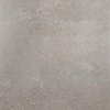 Ceralto Briano Accent Vloertegel - 100x100cm - 6.0mm - gerectificeerd - Smoke SW854076