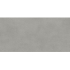 Ceralto Lazaro Vloertegel - 59.5x119.5cm - 9.0mm - gerectificeerd - Grey SW1171161