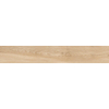 Ceralto Fenera Plank Carrelage de sol - 20x120cm - 9.5mm - rectifié - Industrial SW295161