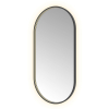 Hotbath &MORE Spiegel Oval - 60x120cm - direct en indirect LED - spiegelverwarming - dimbaar - met afstandsbediening - PVD - geborsteld zwart SW1245621