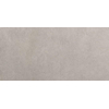 Vtwonen Tegels Raw Vloertegel - 60x120cm - 9.5mm - gerectificeerd - Grey SW670138
