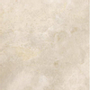ÉCHANTILLON Ceralto Briano Accent Carrelage sol et mur 100x100cm rectifié R10 Noble Beige SW912630