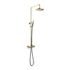 Hotbath Cobber regendoucheset gepolijst messing SW84145 Hotbath Cobber regendoucheset gepolijst messing SW84145