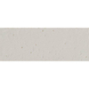 ÉCHANTILLON Ceralto Muralto Decor Carrelage mural - 7.5x20cm - 9.0mm - Bianco SW914169