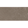 Ceralto Ivarno Core Vloertegel - 30X60 - 10mm - mat - donker beige SW1578869