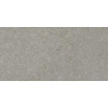 ÉCHANTILLON Terravito Elvano Carrelage parquet céramique mural et de sol - 60x120cm - 9mm - Greige SW1579538