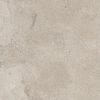 ÉCHANTILLON vtwonen Carrelage Portland Carrelage de sol 600X600 Taupe 9mm Mat SW1449548