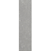 Ceralto Ruwaro Urban Vloertegel - 10x40cm - 10.0mm - gerectificeerd - Grigio SW787192