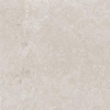 ÉCHANTILLON Ceralto Cavino R11 Carreau de sol 1000X1000 9mm Argent Mat Ret.R9 SW1449526