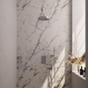 BRAUER Stripe Thermostatische Inbouw Regendouche - 3-weg - rechthoekig - SET 14 - 25cm douchekop - gebogen muurarm - staaf handdouche - doucheslang - wandaansluitbocht - chroom SW1434751