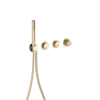Crosswater MODULE MRPO Push 2 inbouwkraan - douche - met handdouche - geborsteld messing (goud) SW1386733