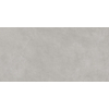 ÉCHANTILLON Terravito Evarno carreau mural - 25x50cm - Plomb mat (gris) SW1131094