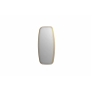 INK SP29 spiegel – 50x100 cm – Goud geborsteld SW956134