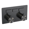 Brauer Gunmetal Edition boutons-poussoirs de thermostat encastrés 3 fonctions dans/enlevés gunmetal Brushed pvd SW925711