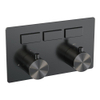 BRAUER gunmetal Edition Inbouwthermostaat - 2 functies - inclusief inbouwdeel - drukknoppen - geborsteld gunmetal PVD SW925711