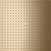 Hansgrohe Axor showersolutions hoofddouche 30x30cm Brushed bronze TWEEDEKANS OUT13136