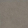 Ceralto Legno Natura Vloertegel - 60.4X60.4 - 9mm - mat - taupe SW1591376