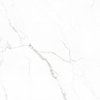 ÉCHANTILLON Terravito Alpuro carreau mural et de sol - 60x60cm - 9mm - Carré - rectifié - Aspect marbre - Blanc/noir brillant SW736255