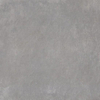 Ceralto Serico Polished Carrelage sol et mur 60x60cm 10mm rectifié R10 grès cérame Grigio SW767585
