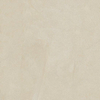 Ceralto Briano Accent Carrelage de sol - 100x100cm - 6.0mm - rectifié - Seashell SW1171166