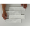 ÉCHANTILLON Terravito Parnaso carreau mural - 7,5x30cm - 8,6mm - Blanc SW1130671